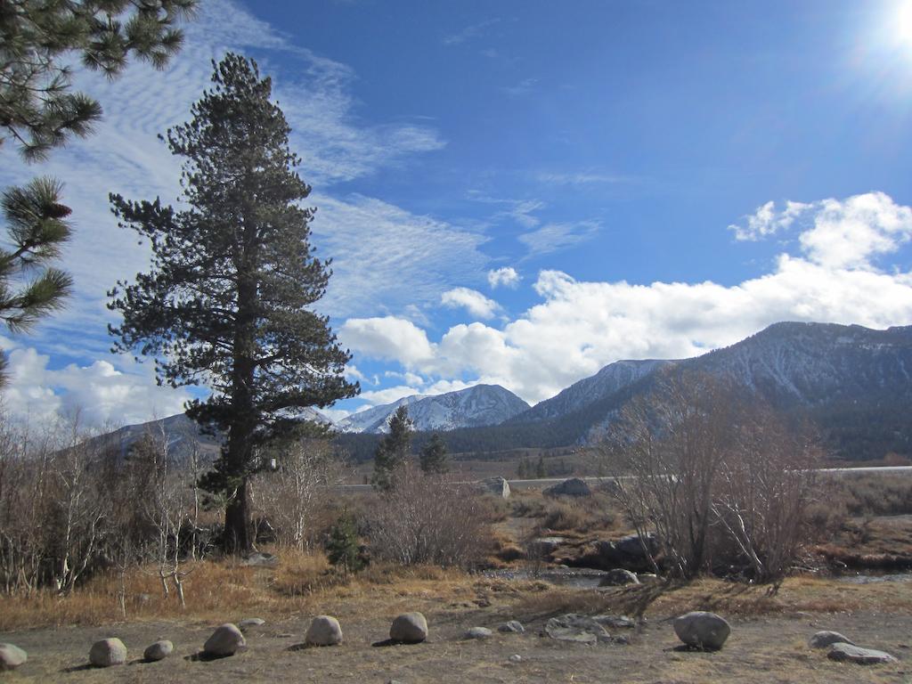 Mammoth Creek Condos Mammoth Lakes Bagian luar foto