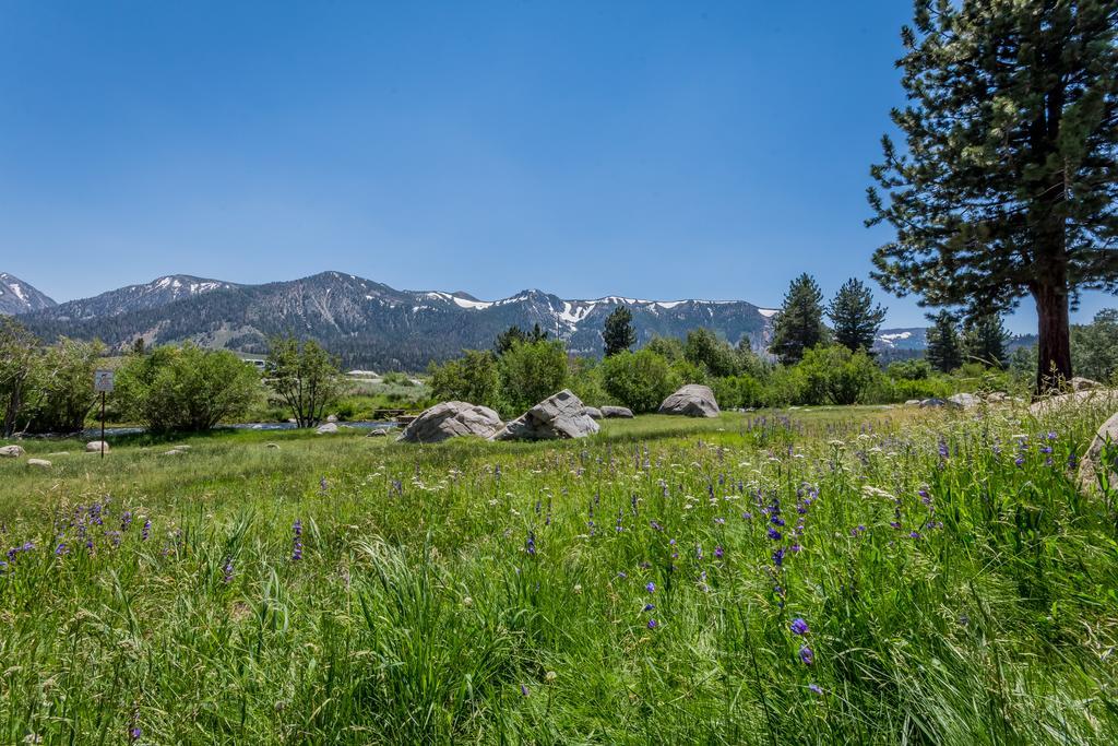 Mammoth Creek Condos Mammoth Lakes Bagian luar foto